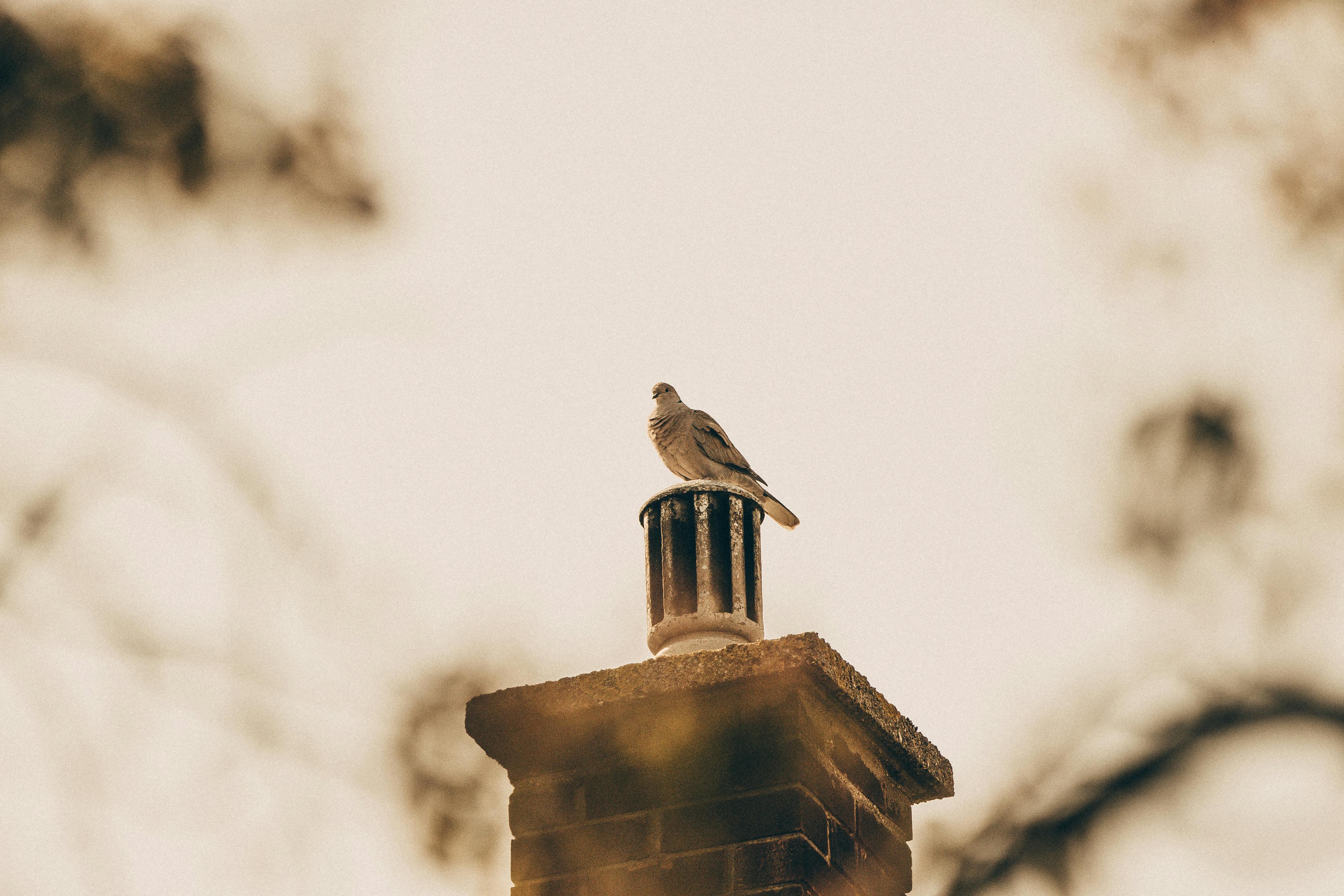 Professional Chimney Cap Installation Services in Hamilton, MA Expert Chimney Cap Installation in Hamilton, Massachusetts